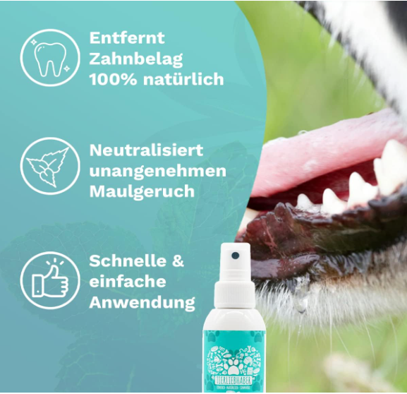 Frischer Atem für Katze und Hund